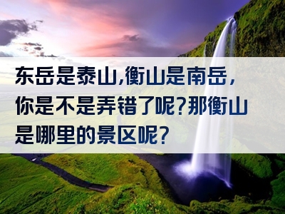 东岳是泰山，衡山是南岳，你是不是弄错了呢？那衡山是哪里的景区呢？