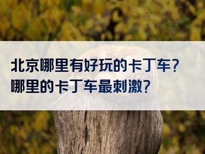 北京哪里有好玩的卡丁车？哪里的卡丁车最刺激？