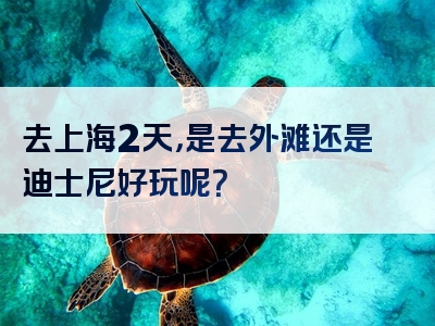 去上海2天，是去外滩还是迪士尼好玩呢？
