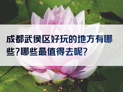 成都武侯区好玩的地方有哪些？哪些最值得去呢？