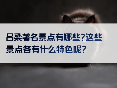 吕梁著名景点有哪些？这些景点各有什么特色呢？