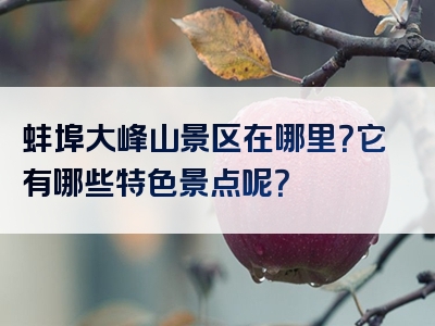 蚌埠大峰山景区在哪里？它有哪些特色景点呢？