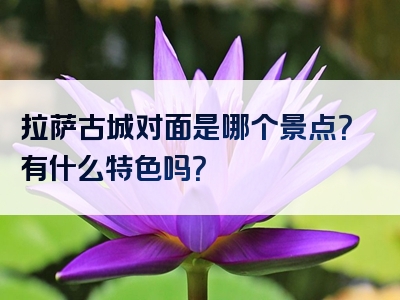 拉萨古城对面是哪个景点？有什么特色吗？