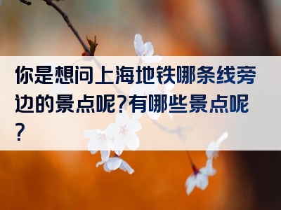 你是想问上海地铁哪条线旁边的景点呢？有哪些景点呢？