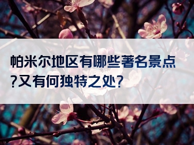 帕米尔地区有哪些著名景点？又有何独特之处？