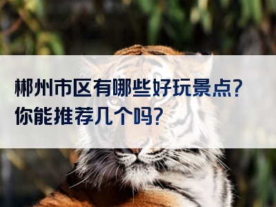 郴州市区有哪些好玩景点？你能推荐几个吗？