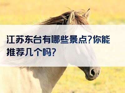 江苏东台有哪些景点？你能推荐几个吗？