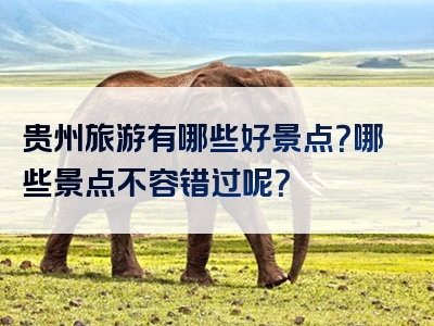 贵州旅游有哪些好景点？哪些景点不容错过呢？