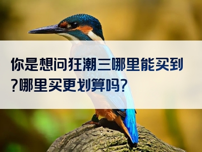 你是想问狂潮三哪里能买到？哪里买更划算吗？