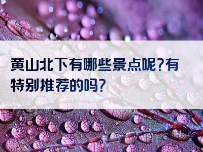 黄山北下有哪些景点呢？有特别推荐的吗？