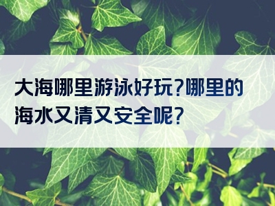 大海哪里游泳好玩？哪里的海水又清又安全呢？
