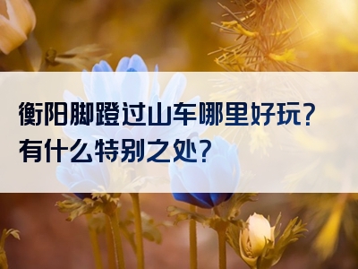 衡阳脚蹬过山车哪里好玩？有什么特别之处？