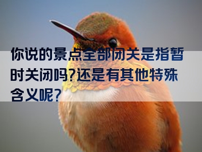 你说的景点全部闭关是指暂时关闭吗？还是有其他特殊含义呢？