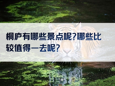 桐庐有哪些景点呢？哪些比较值得一去呢？