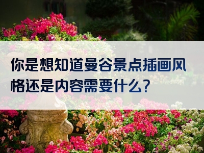 你是想知道曼谷景点插画风格还是内容需要什么？