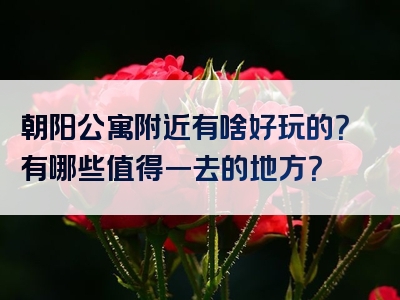 朝阳公寓附近有啥好玩的？有哪些值得一去的地方？