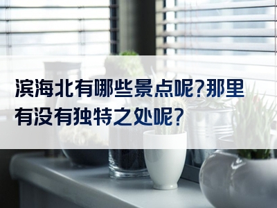 滨海北有哪些景点呢？那里有没有独特之处呢？