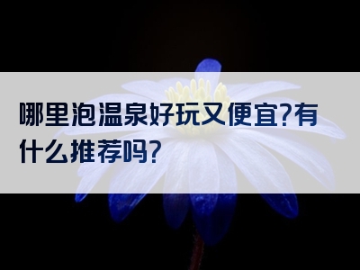 哪里泡温泉好玩又便宜？有什么推荐吗？