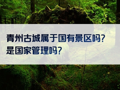 青州古城属于国有景区吗？是国家管理吗？