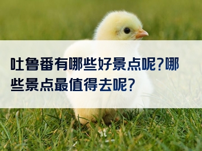 吐鲁番有哪些好景点呢？哪些景点最值得去呢？