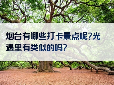 烟台有哪些打卡景点呢？光遇里有类似的吗？