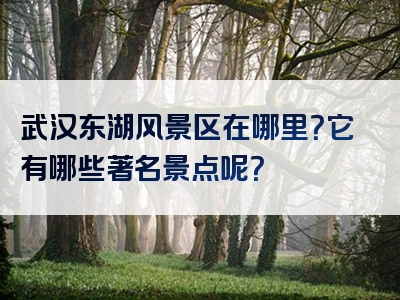 武汉东湖风景区在哪里？它有哪些著名景点呢？