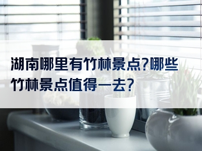 湖南哪里有竹林景点？哪些竹林景点值得一去？