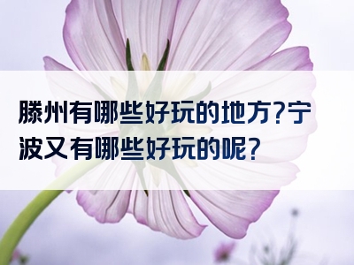 滕州有哪些好玩的地方？宁波又有哪些好玩的呢？