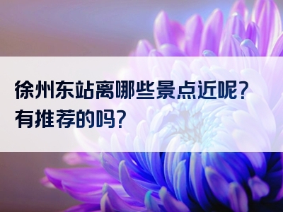 徐州东站离哪些景点近呢？有推荐的吗？