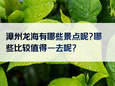 漳州龙海有哪些景点呢？哪些比较值得一去呢？