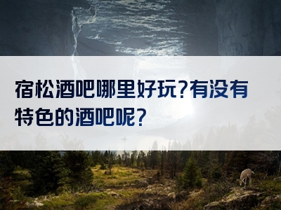 宿松酒吧哪里好玩？有没有特色的酒吧呢？