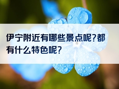 伊宁附近有哪些景点呢？都有什么特色呢？