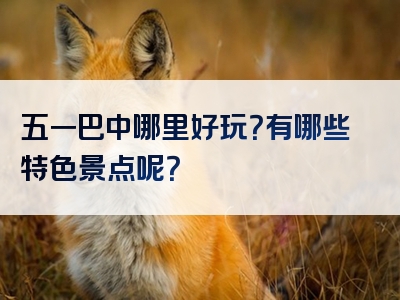 五一巴中哪里好玩？有哪些特色景点呢？
