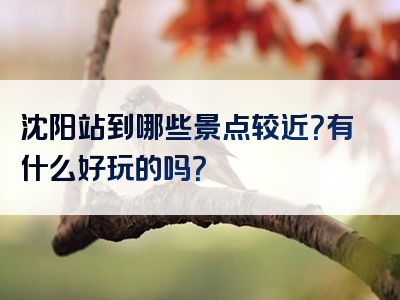 沈阳站到哪些景点较近？有什么好玩的吗？