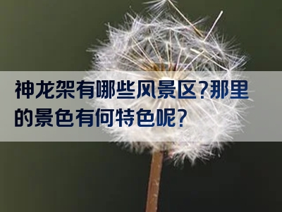 神龙架有哪些风景区？那里的景色有何特色呢？
