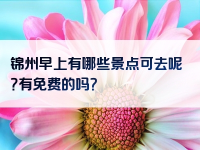 锦州早上有哪些景点可去呢？有免费的吗？