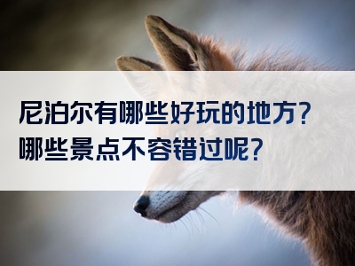 尼泊尔有哪些好玩的地方？哪些景点不容错过呢？