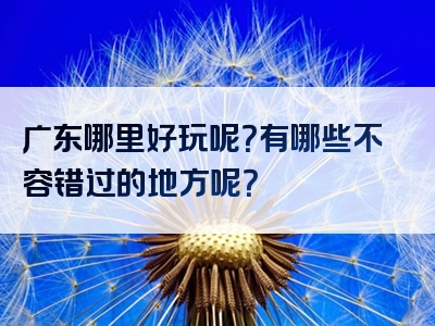 广东哪里好玩呢？有哪些不容错过的地方呢？