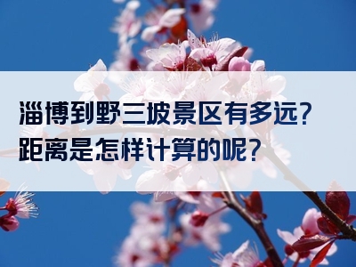 淄博到野三坡景区有多远？距离是怎样计算的呢？