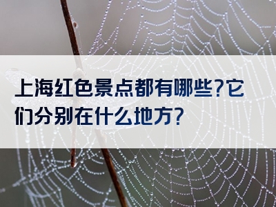 上海红色景点都有哪些？它们分别在什么地方？