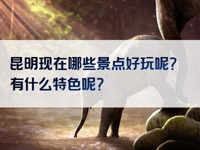 昆明现在哪些景点好玩呢？有什么特色呢？
