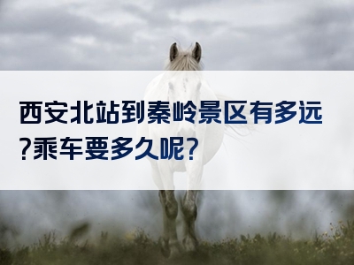 西安北站到秦岭景区有多远？乘车要多久呢？
