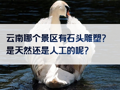 云南哪个景区有石头雕塑？是天然还是人工的呢？