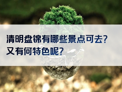 清明盘锦有哪些景点可去？又有何特色呢？