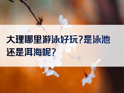 大理哪里游泳好玩？是泳池还是洱海呢？