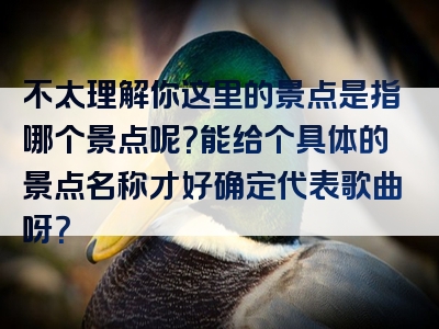 不太理解你这里的景点是指哪个景点呢？能给个具体的景点名称才好确定代表歌曲呀？