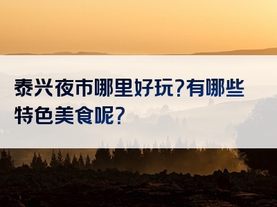 泰兴夜市哪里好玩？有哪些特色美食呢？