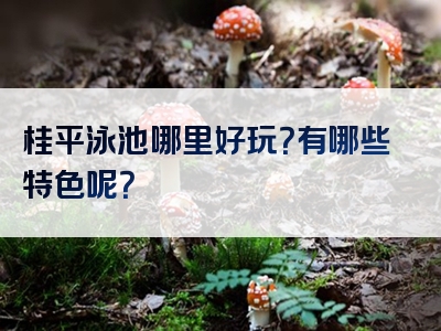 桂平泳池哪里好玩？有哪些特色呢？