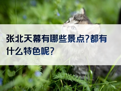 张北天幕有哪些景点？都有什么特色呢？