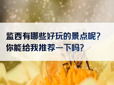 监西有哪些好玩的景点呢？你能给我推荐一下吗？
